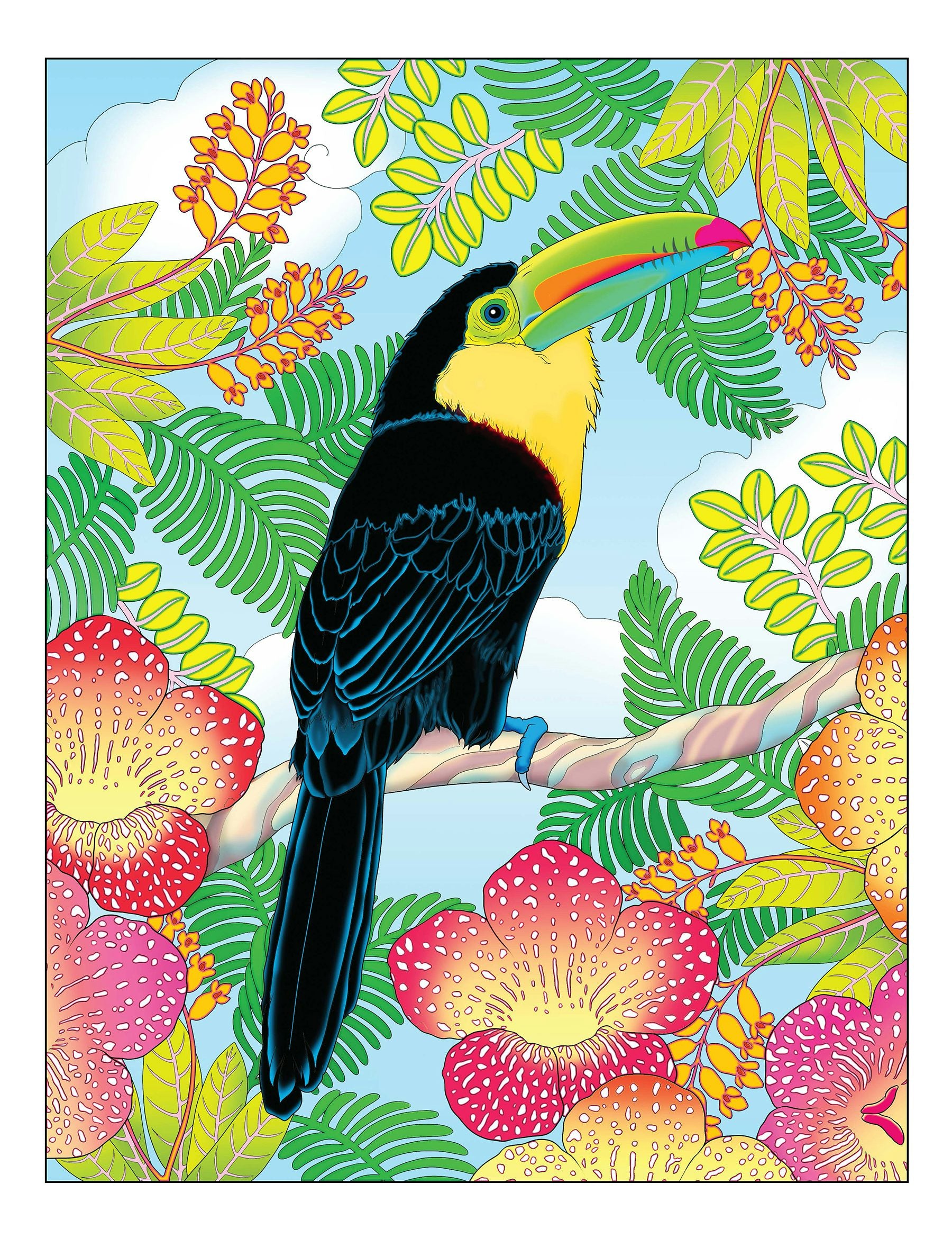 Creative Haven® Coloring Book: Tropical Wonders