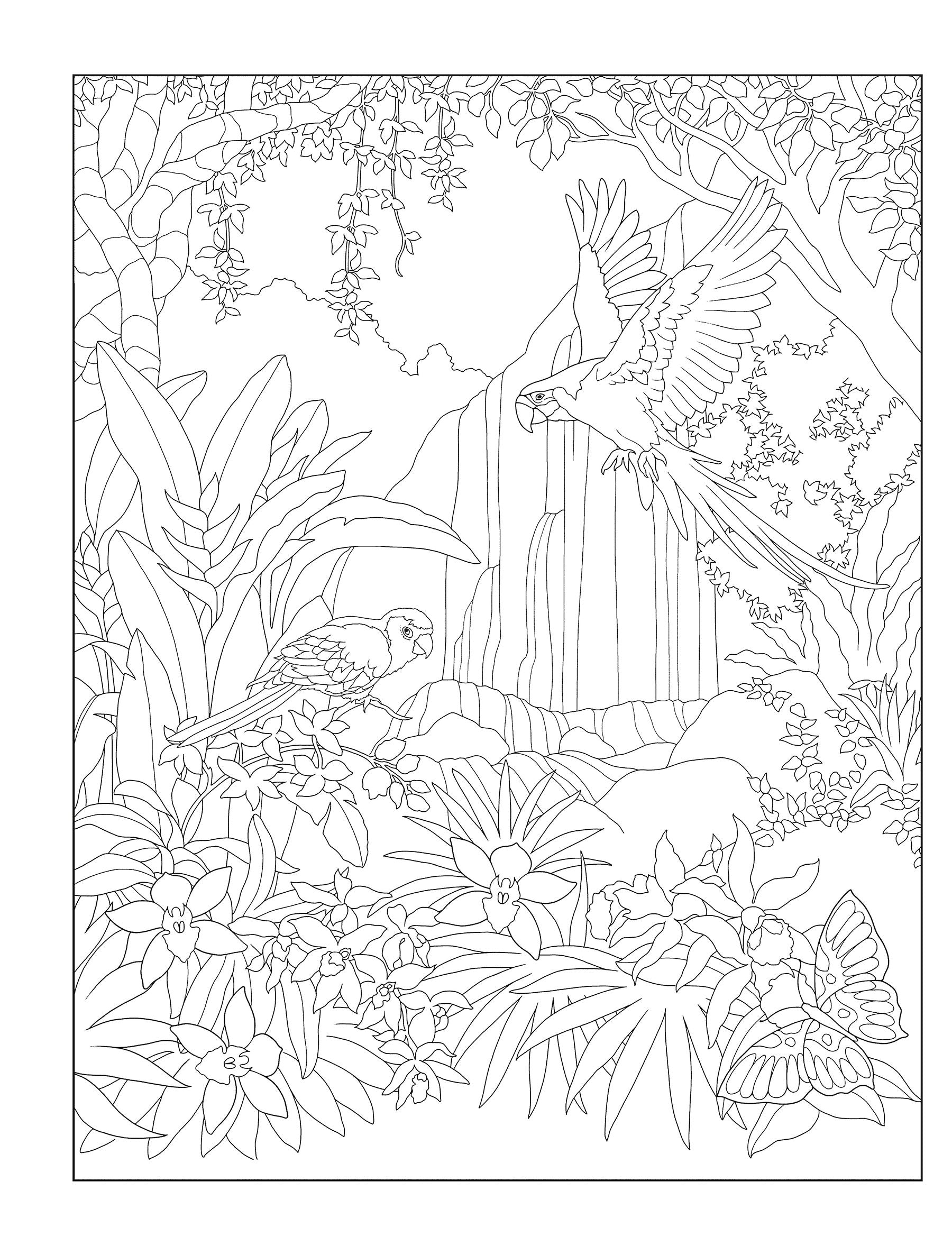 Creative Haven® Coloring Book: Tropical Wonders