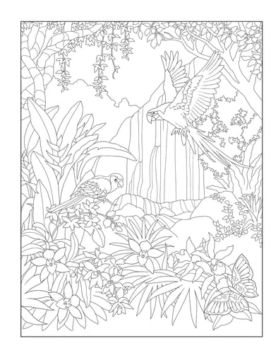 Creative Haven® Coloring Book: Tropical Wonders