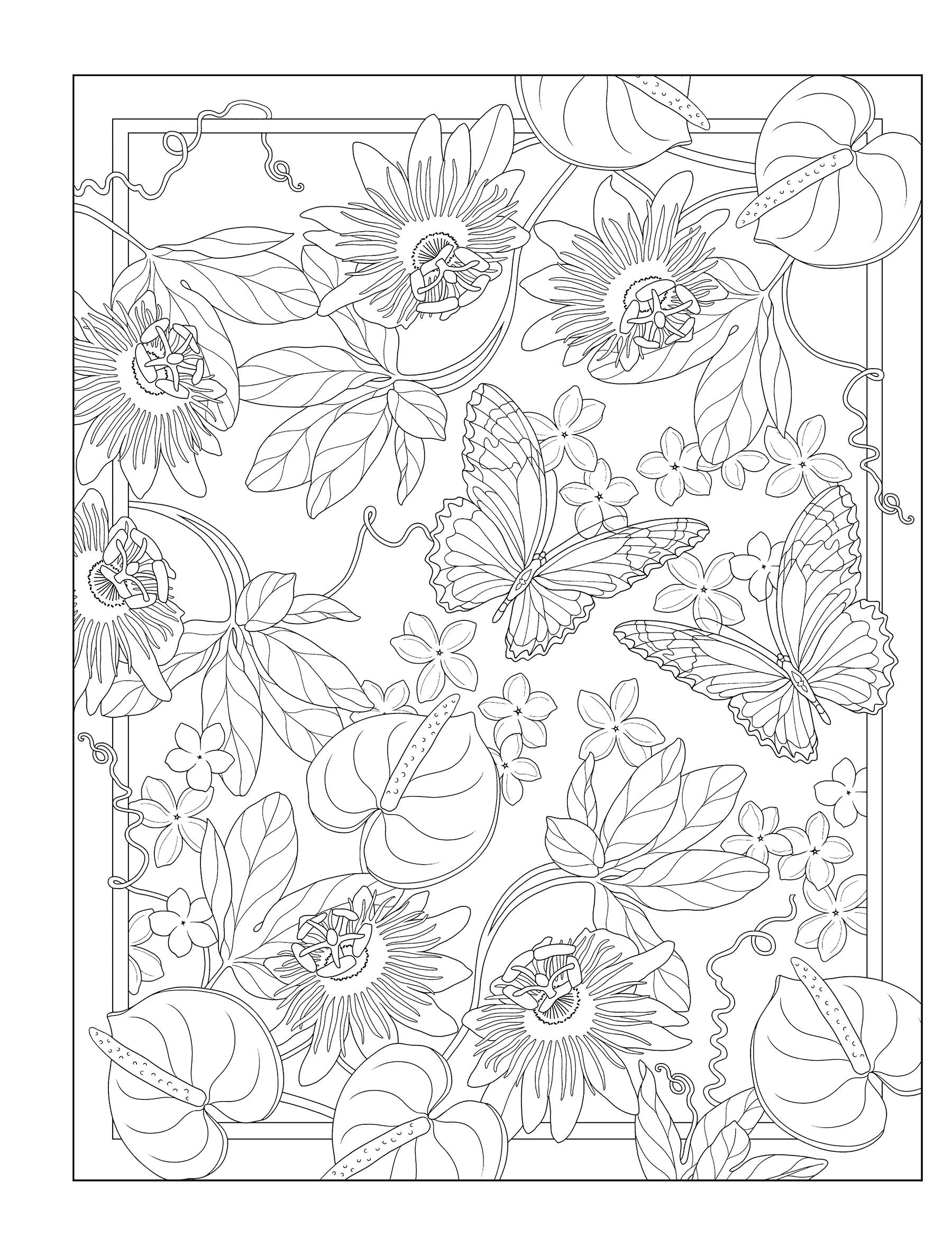 Creative Haven® Coloring Book: Tropical Wonders