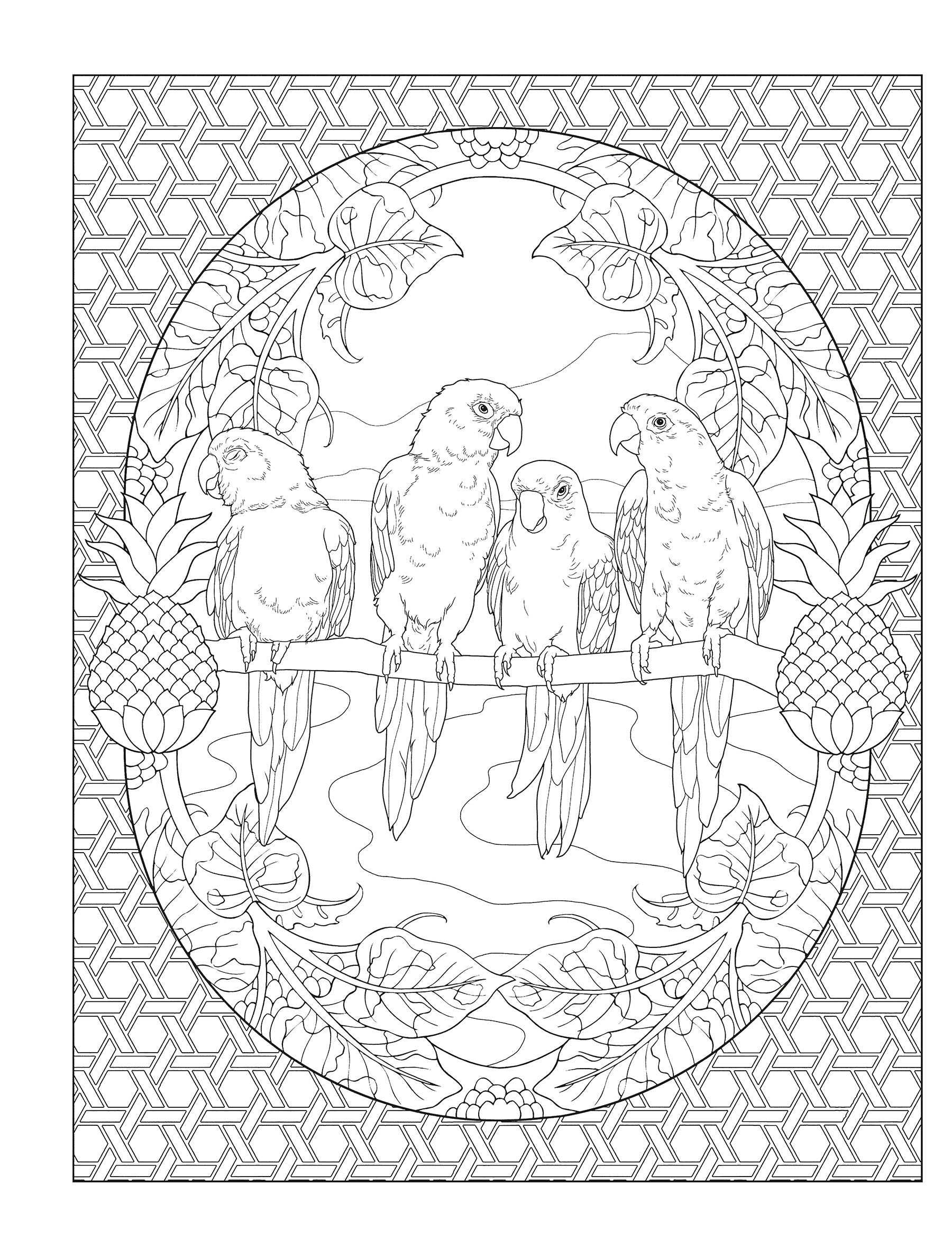 Creative Haven® Coloring Book: Tropical Wonders