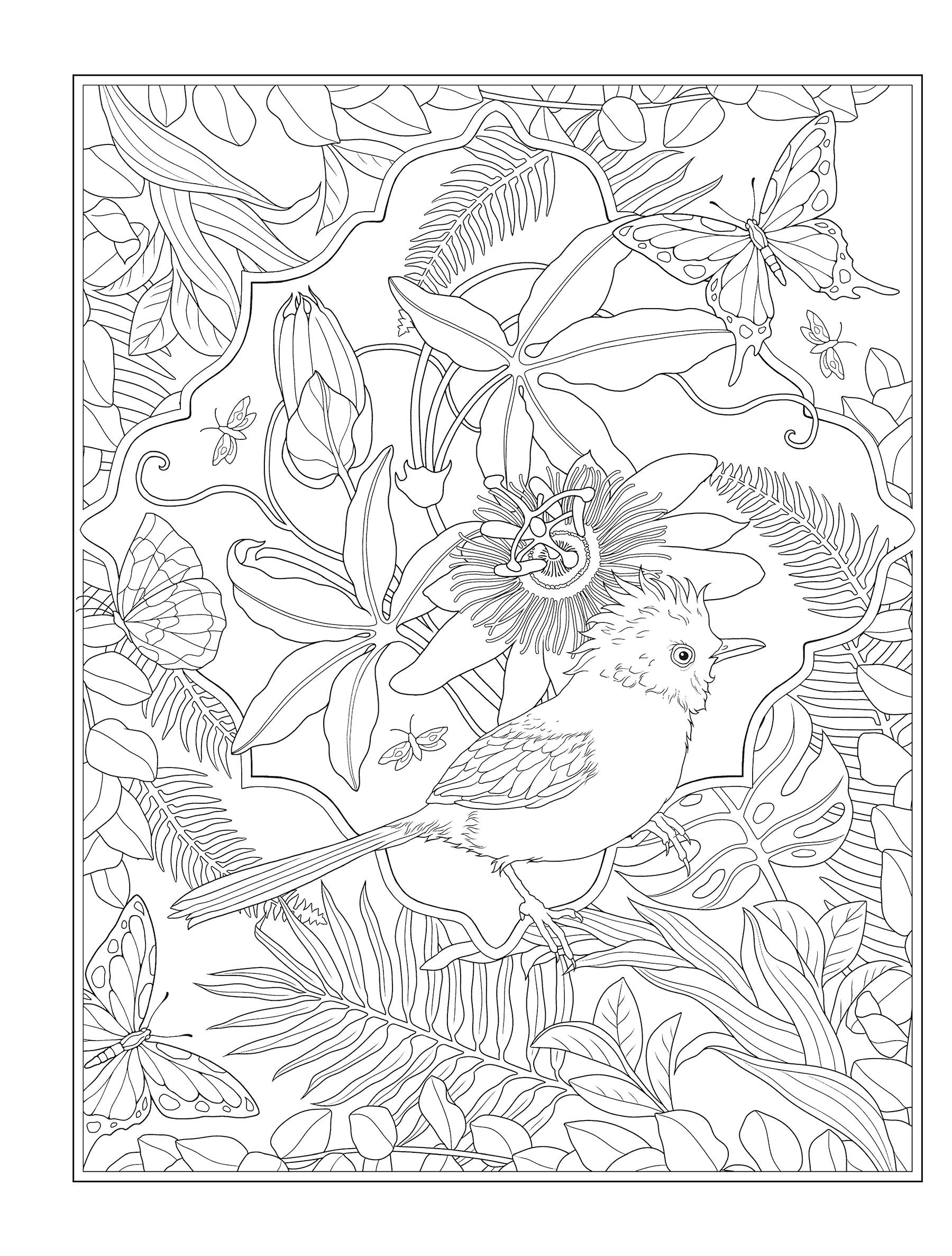 Creative Haven® Coloring Book: Tropical Wonders