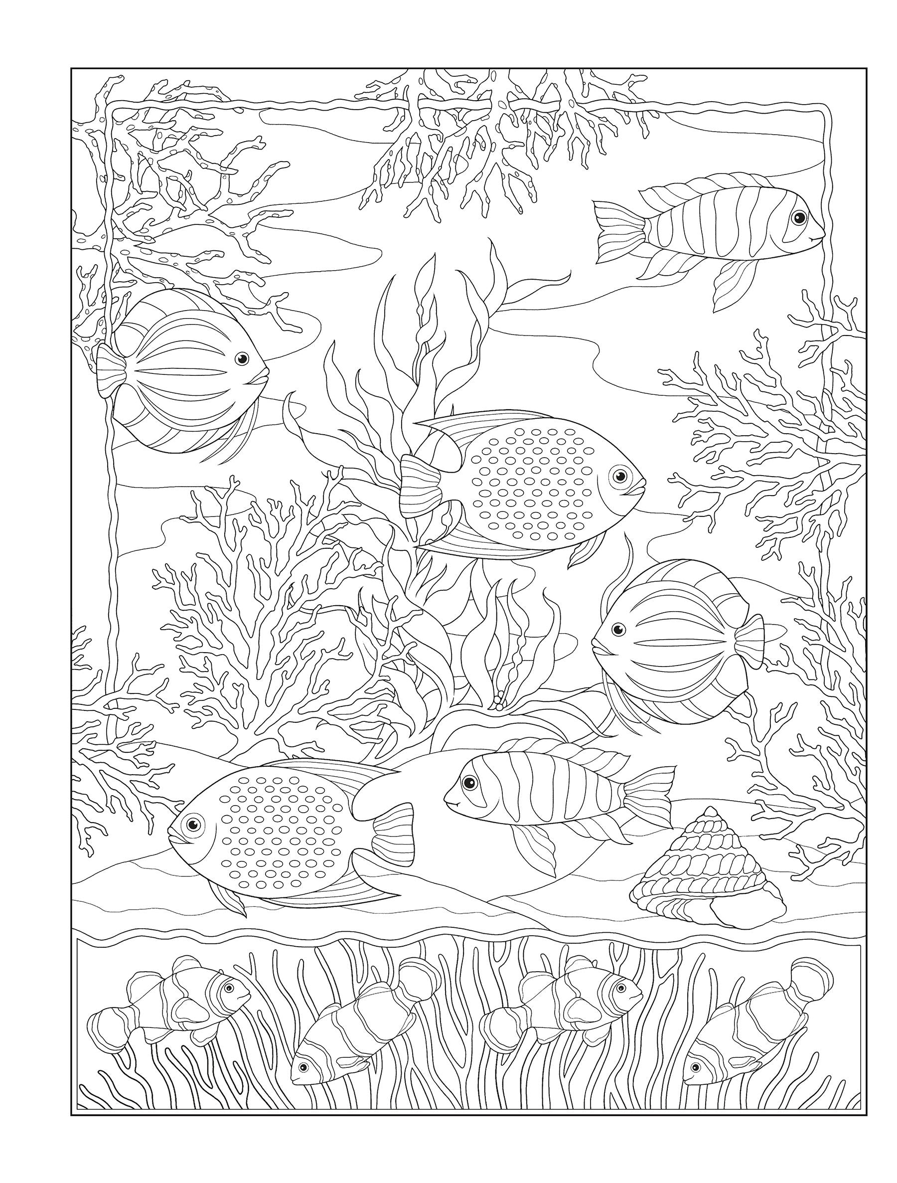 Creative Haven® Coloring Book: Tropical Wonders