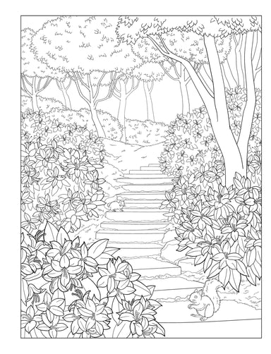 Creative Haven® Coloring Book: Gorgeous Gardens