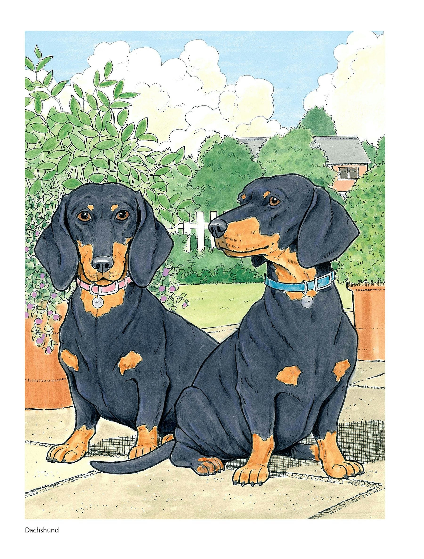 DVR Creative Haven® Coloring Book: Dog Lovers' Coloring Book
