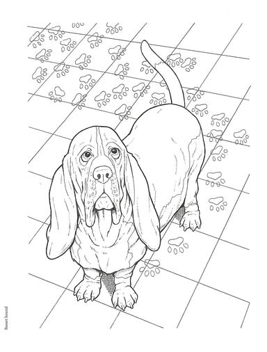 DVR Creative Haven® Coloring Book: Dog Lovers' Coloring Book