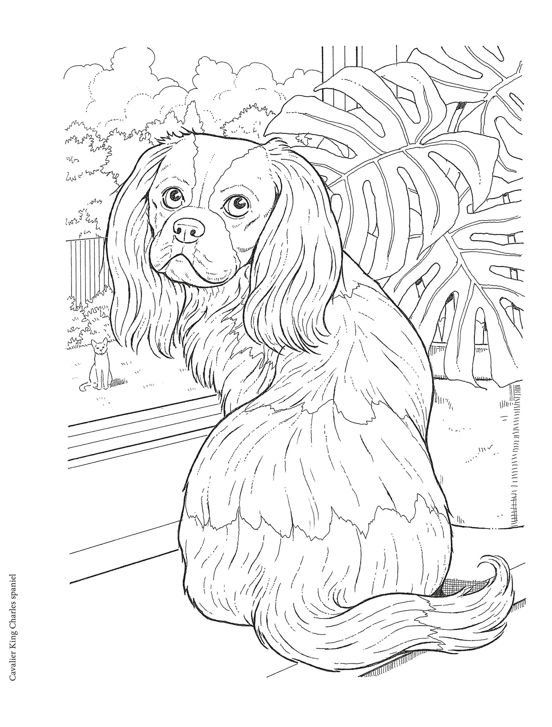 DVR Creative Haven® Coloring Book: Dog Lovers' Coloring Book