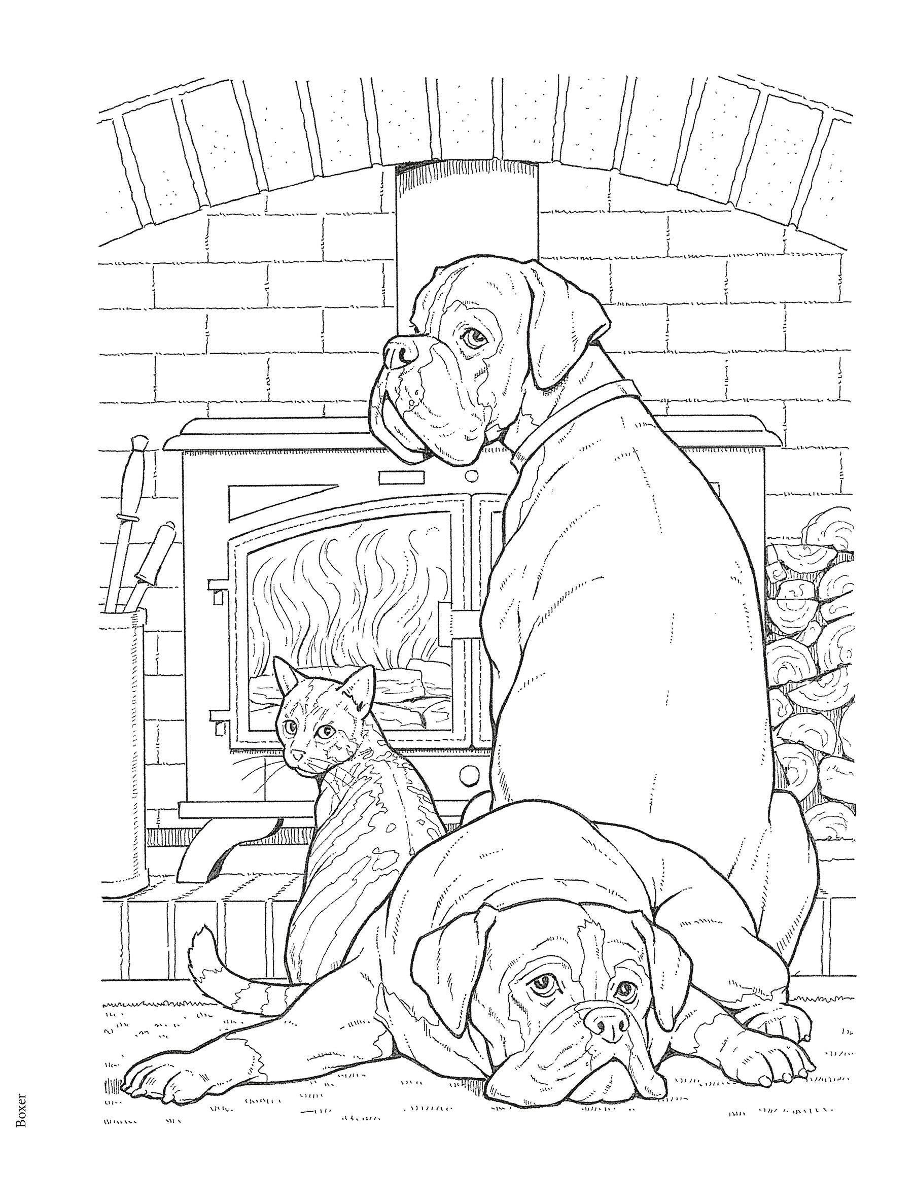 DVR Creative Haven® Coloring Book: Dog Lovers' Coloring Book