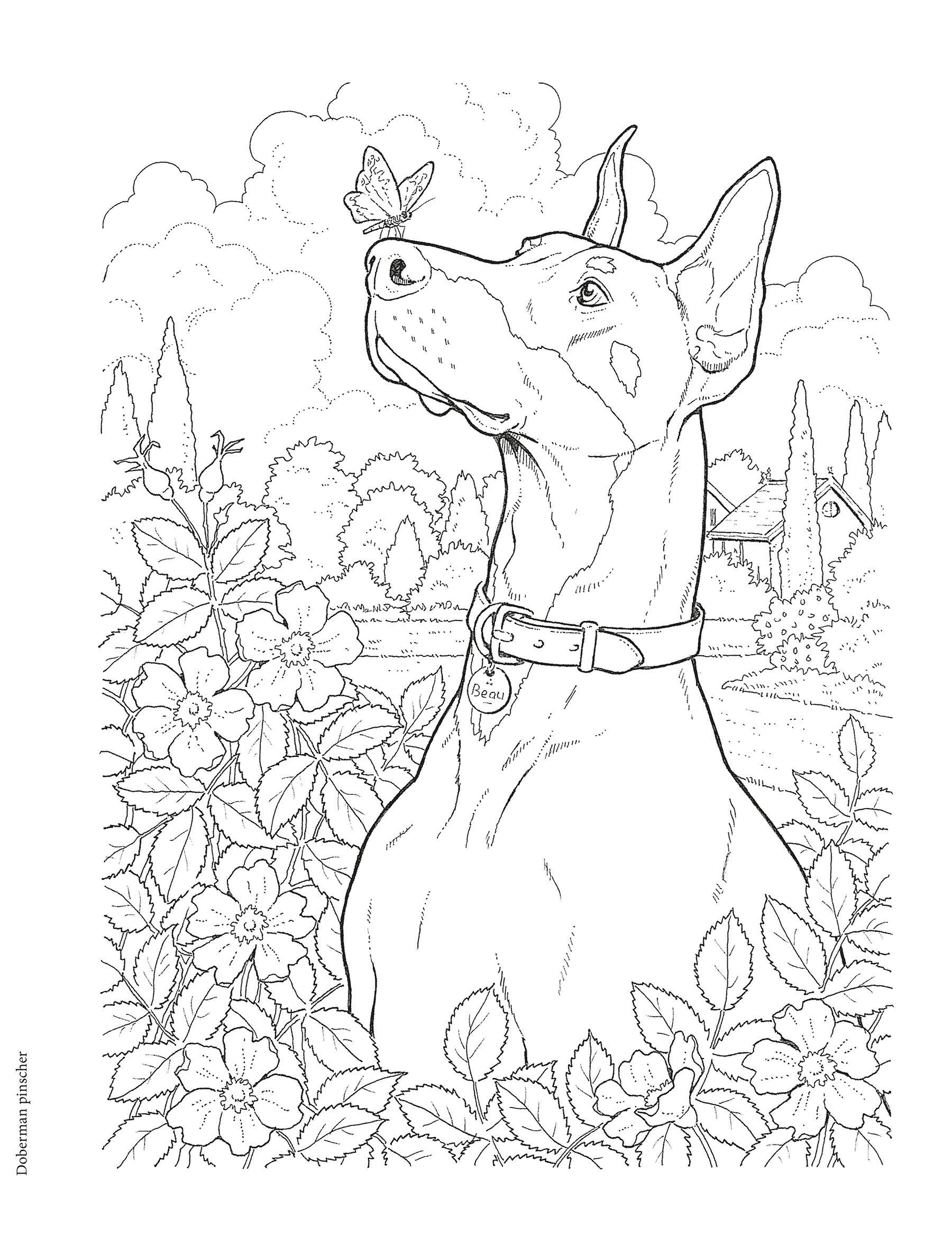DVR Creative Haven® Coloring Book: Dog Lovers' Coloring Book