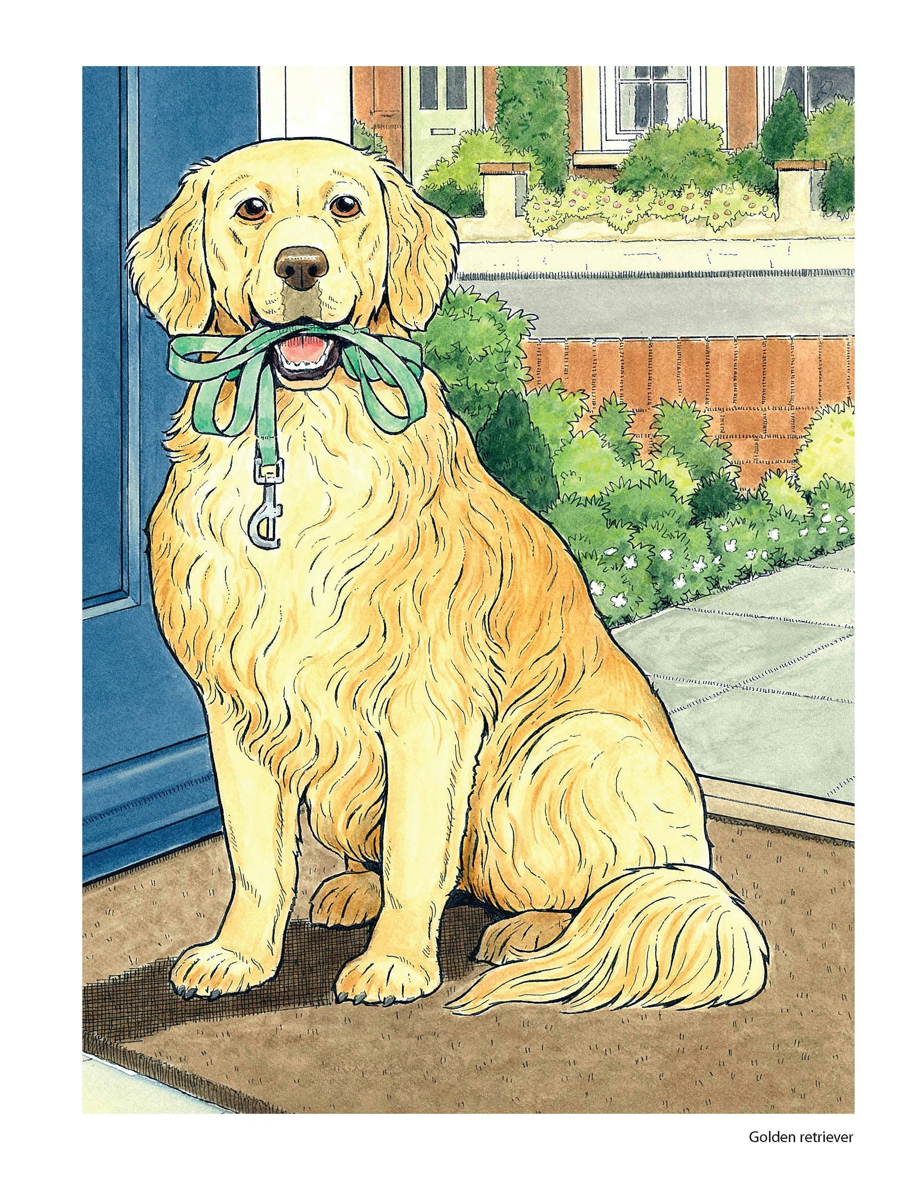 DVR Creative Haven® Coloring Book: Dog Lovers' Coloring Book