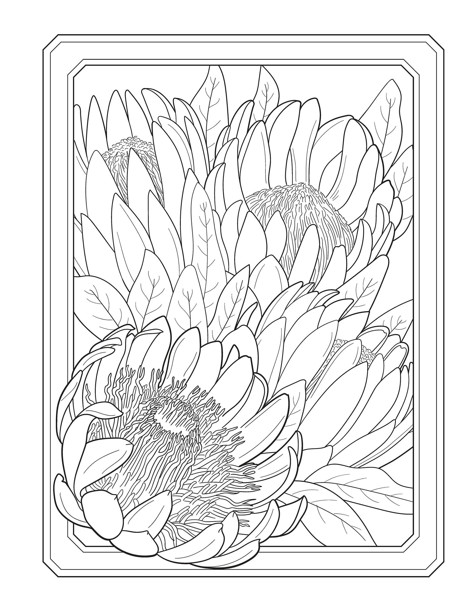 DVR Creative Haven® Coloring Book: Flowers of the World
