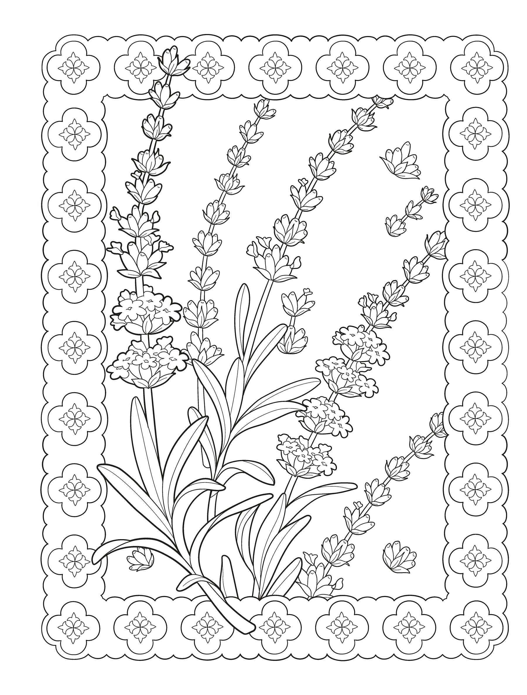 DVR Creative Haven® Coloring Book: Flowers of the World