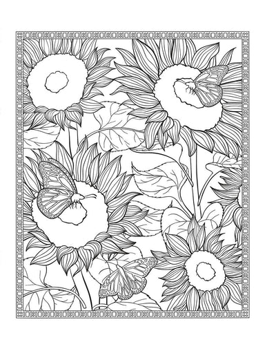 Dream: Relaxing Images to Color