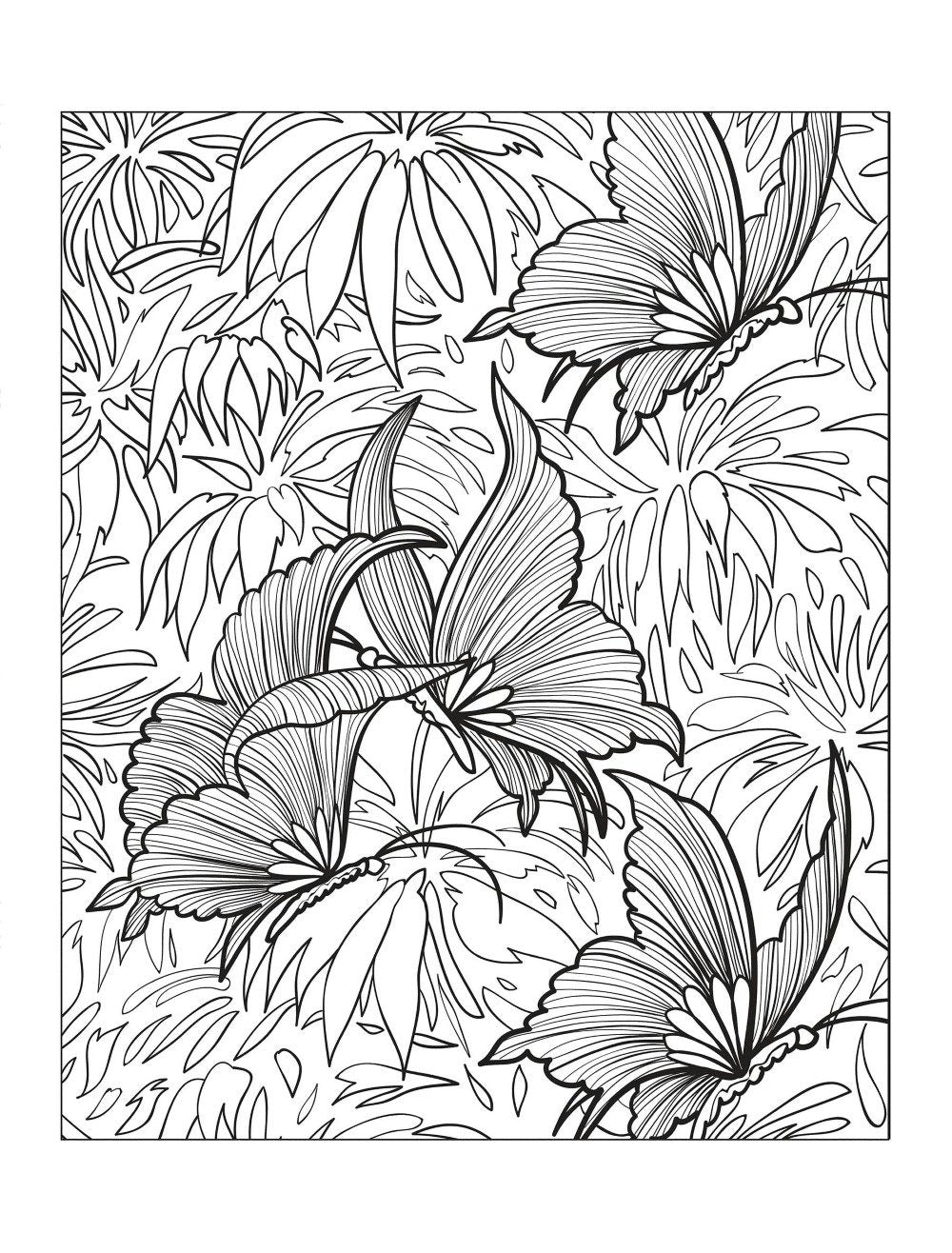 Dream: Relaxing Images to Color