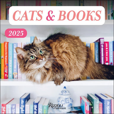 Cats & Books 2025 Wall Calendar    