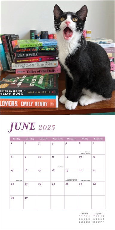 Cats & Books 2025 Wall Calendar    