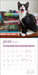 Cats & Books 2025 Wall Calendar    