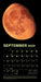 Lunar - Glow In The Dark 2025 Lunar Year Wall Calendar    