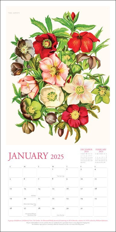 The New York Botanical Garden 2025 Wall Calendar    