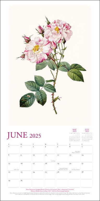 The New York Botanical Garden 2025 Wall Calendar    