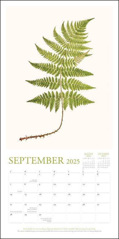 The New York Botanical Garden 2025 Wall Calendar    