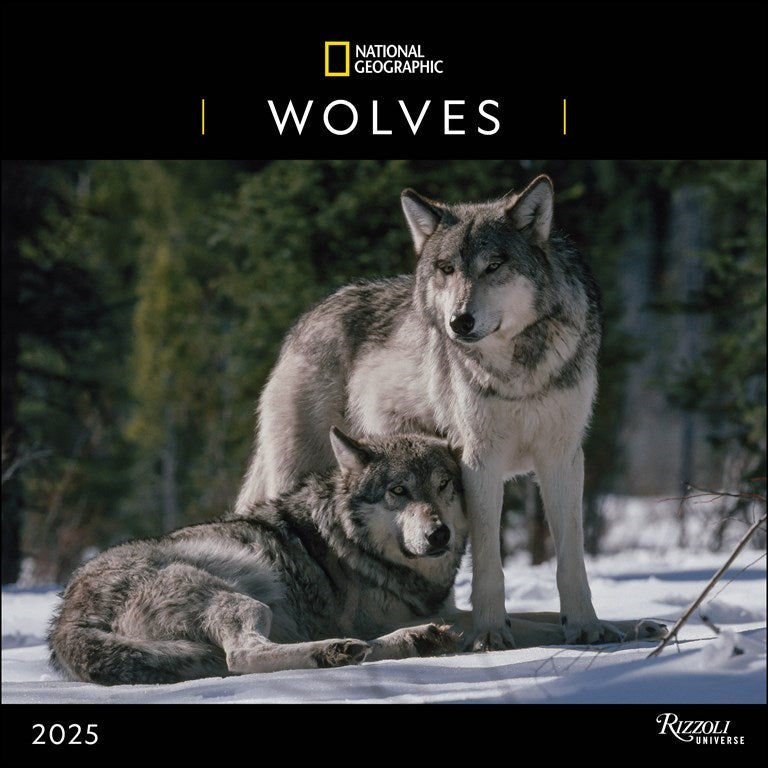 National Geographic Wolves 2025 Wall Calendar    