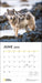 National Geographic Wolves 2025 Wall Calendar    