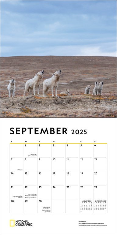 National Geographic Wolves 2025 Wall Calendar    