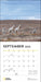 National Geographic Wolves 2025 Wall Calendar    