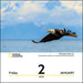 National Geographic: Nature 2026 Day-to-Day Calendar