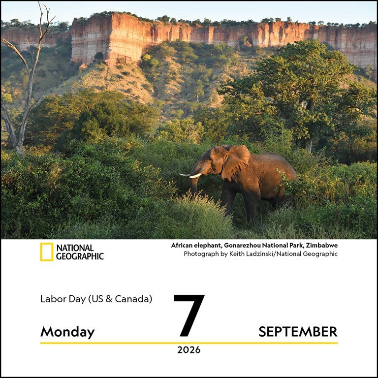 National Geographic: Nature 2026 Day-to-Day Calendar