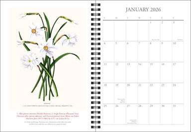 The New York Botanical Garden 2026 Engagement Calendar