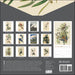 Audubon's Watercolors 2026 Wall Calendar