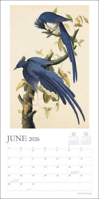 Audubon's Watercolors 2026 Wall Calendar