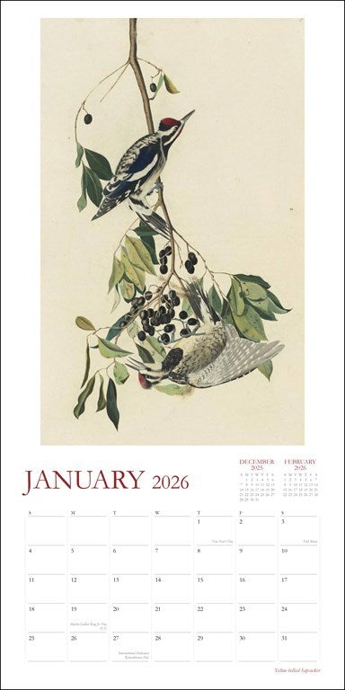 Audubon's Watercolors 2026 Wall Calendar
