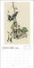 Audubon's Watercolors 2026 Wall Calendar
