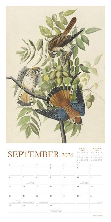 Audubon's Watercolors 2026 Wall Calendar