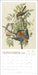 Audubon's Watercolors 2026 Wall Calendar