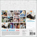 Cats & Books 2026 Wall Calendar