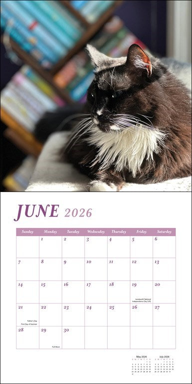 Cats & Books 2026 Wall Calendar