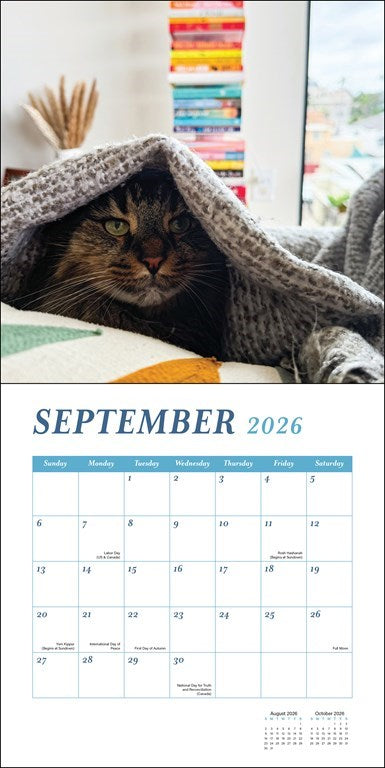 Cats & Books 2026 Wall Calendar