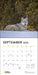 National Geographic: Wolves 2026 Wall Calendar