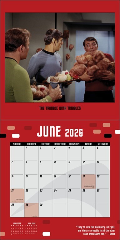 Star Trek™ 2026 Wall Calendar