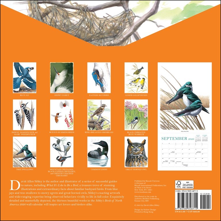 Sibley's Birds of North America 2026 Wall Calendar