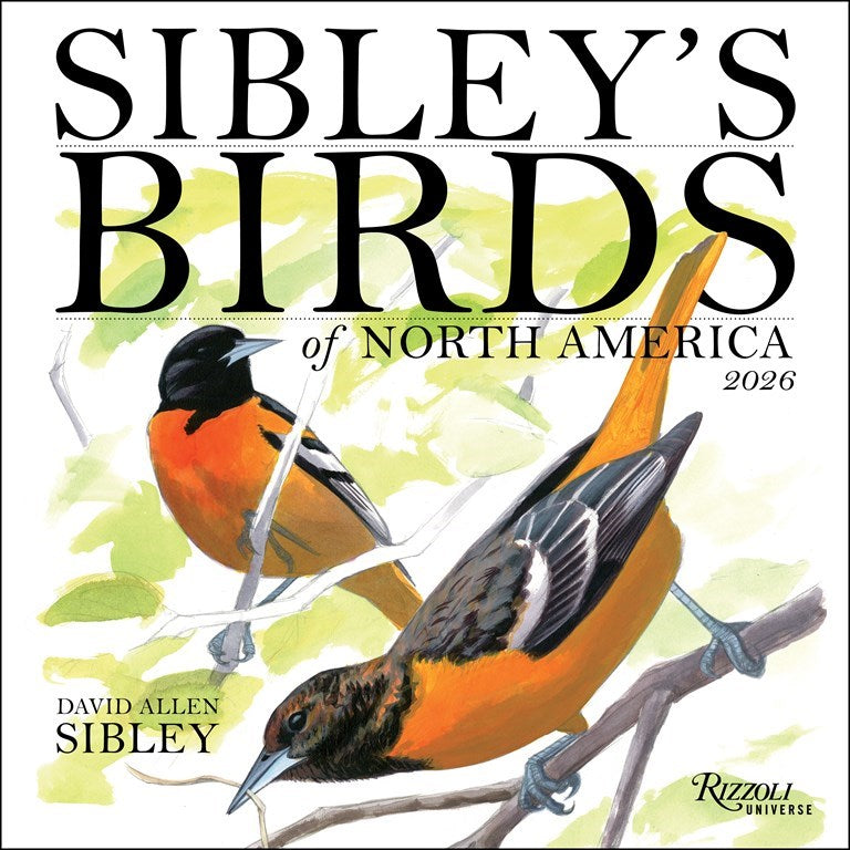 Sibley's Birds of North America 2026 Wall Calendar