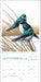 Sibley's Birds of North America 2026 Wall Calendar