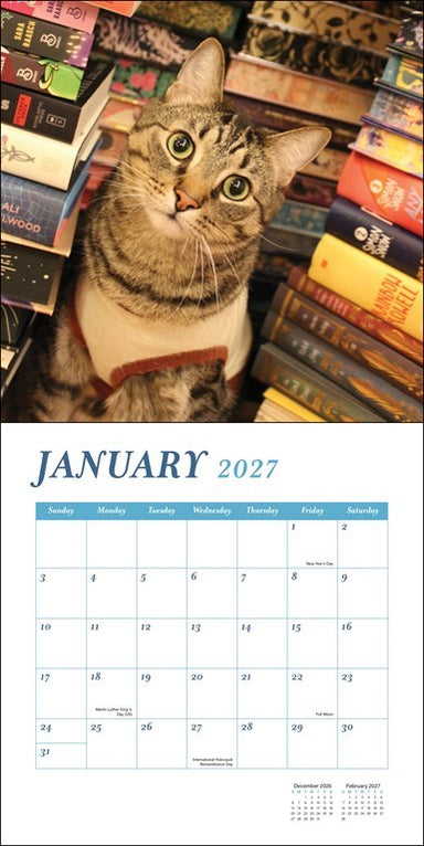 RZZLI Cats & Books 2027 Wall Calendar