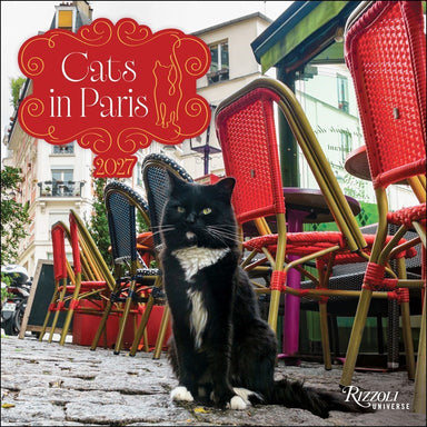 RZZLI Cats in Paris 2027 Wall Calendar