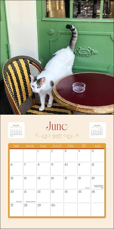 RZZLI Cats in Paris 2027 Wall Calendar