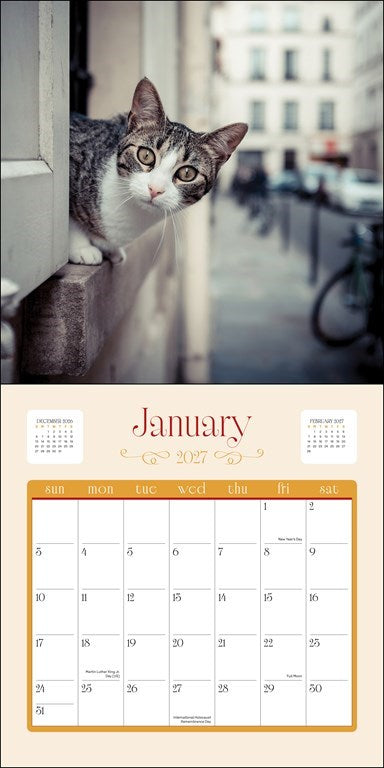RZZLI Cats in Paris 2027 Wall Calendar